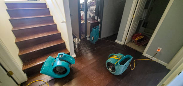  Bemidji, MN Water damage restoration Pros