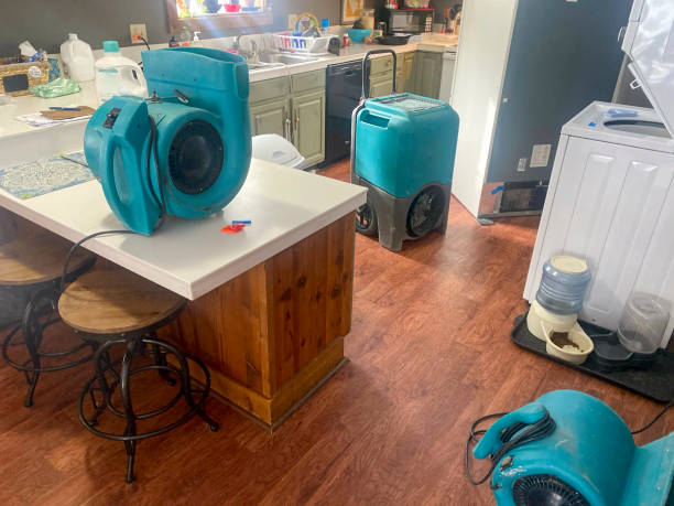 Best Water damage restoration near me  in Bemidji, MN