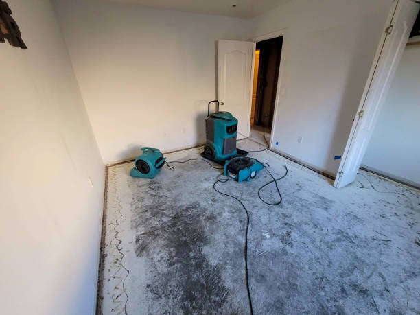  Bemidji, MN Water damage restoration Pros