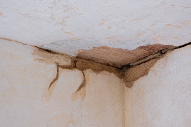 Best Sewage cleanup and water damage restoration  in Bemidji, MN
