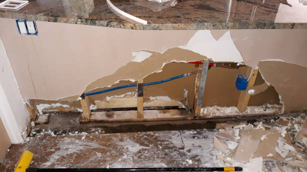 Best Local water damage restoration  in Bemidji, MN
