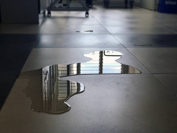Best 24-hour water damage restoration  in Bemidji, MN