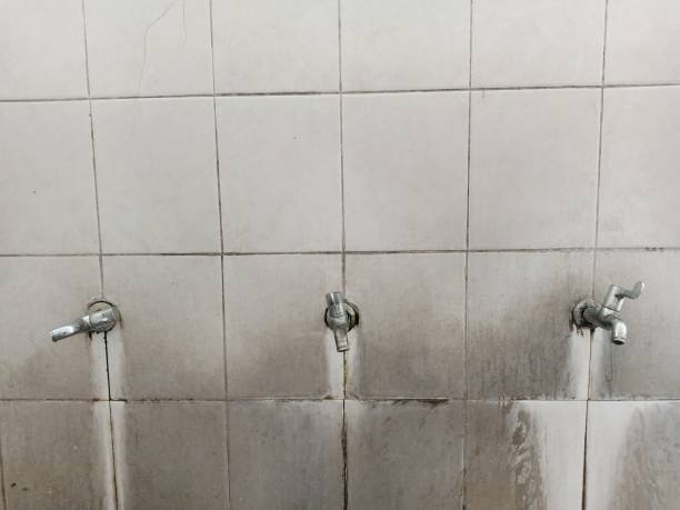 Best Fire Damage Restoration  in Bemidji, MN