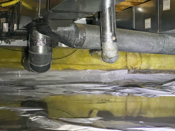 Best Flooded house restoration  in Bemidji, MN