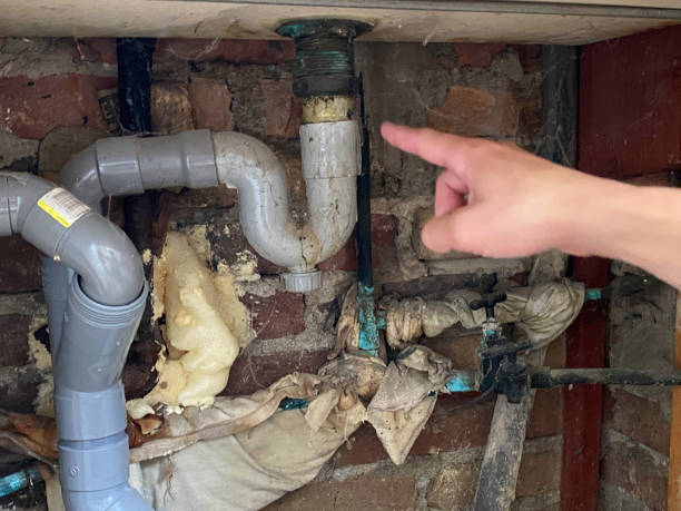 Best Residential water damage restoration  in Bemidji, MN